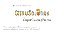 Desktop Screenshot of carpetcleaningromega.com